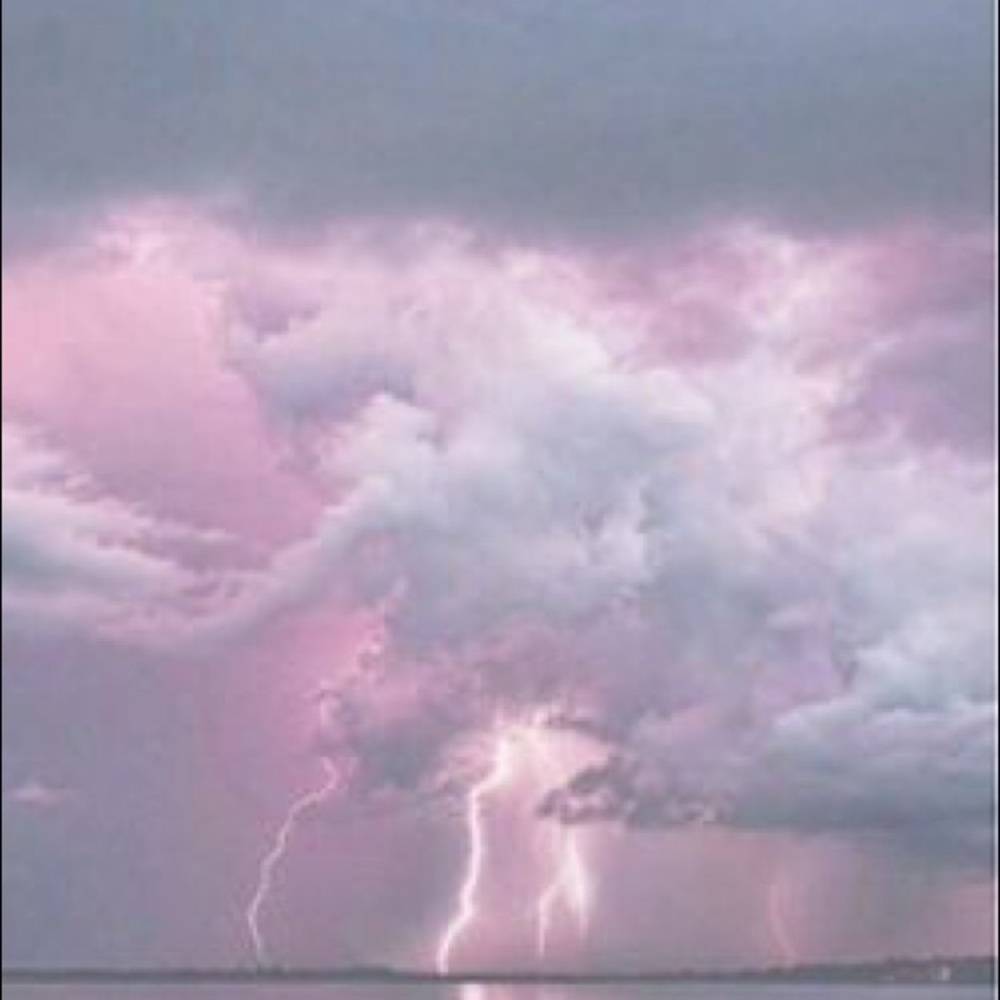 Meet your Posher, Daniela